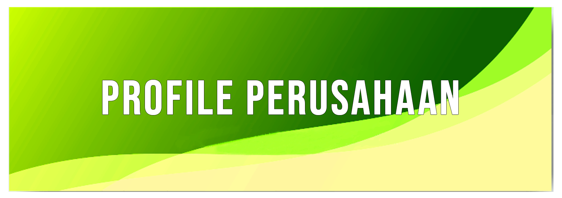 profile company