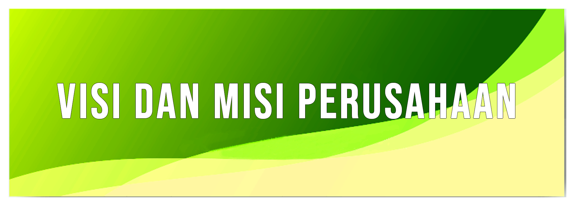 visi